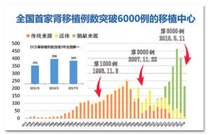 獨家 武漢同濟醫院文件曝活摘罪惡