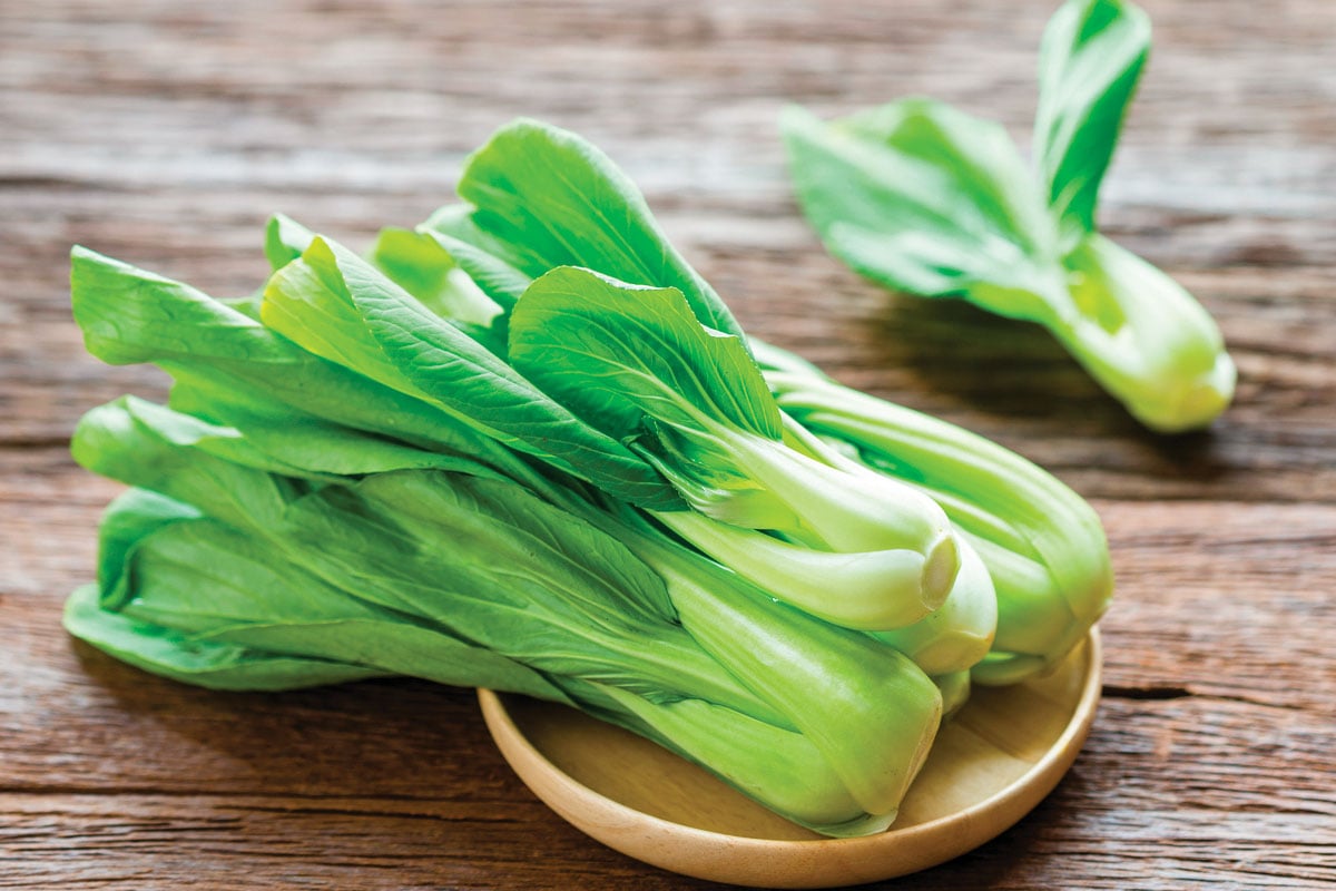 Brassica Green | 小棠菜 | KG | Foon Foon | Fresh Fruit & Veggie Store