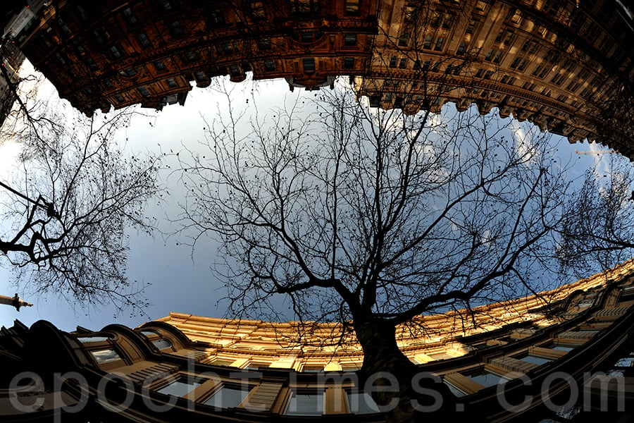 「城域」展品，超廣角鏡拍攝的倫敦街景，建築物與樹融為一體，獨特的構圖令人驚喜。（受訪者提供）