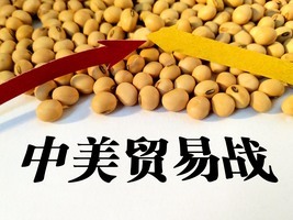 又一背鍋俠？中國進口大豆要求美方出「無病毒證明」