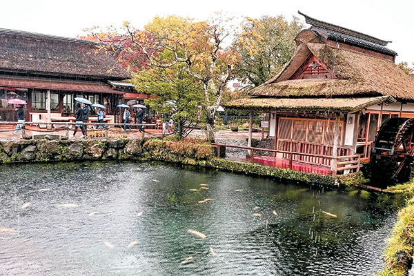 林園水塘部（四）