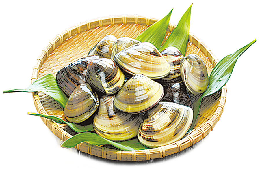 貝類來自大海的美味安全料理指南