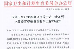 【獨家】內部文件洩中共地下人體器官庫