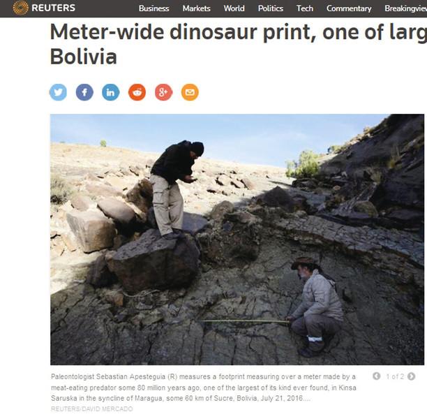 最大白堊紀恐龍？腳印寬約1.2米