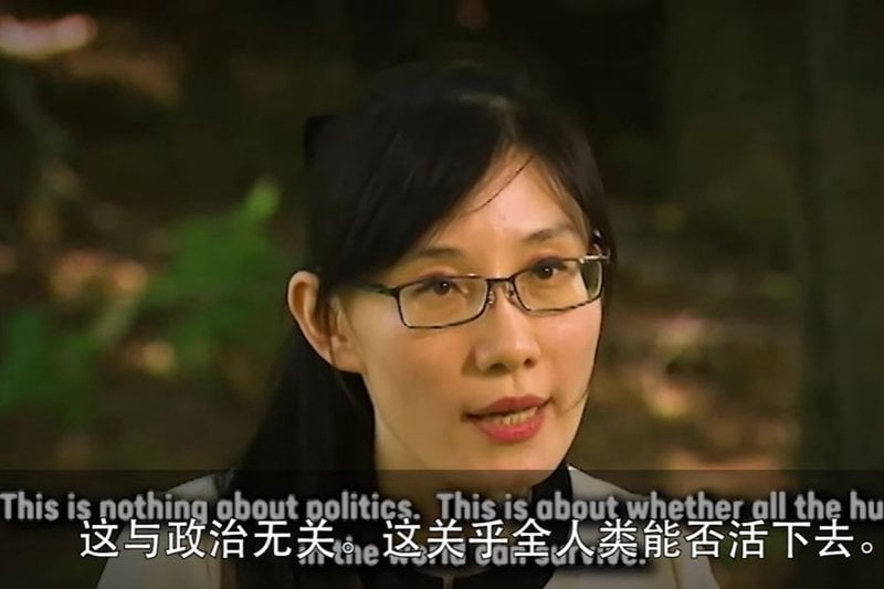 逃亡美國的原香港大學病毒學專家閻麗夢日前接受美媒專訪，揭露中共政府掩蓋中共病毒（武漢肺炎）疫情的驚人真相。（影片截圖）