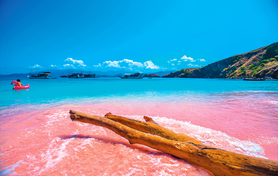 科莫多島像童話世界粉紅沙灘超夢幻