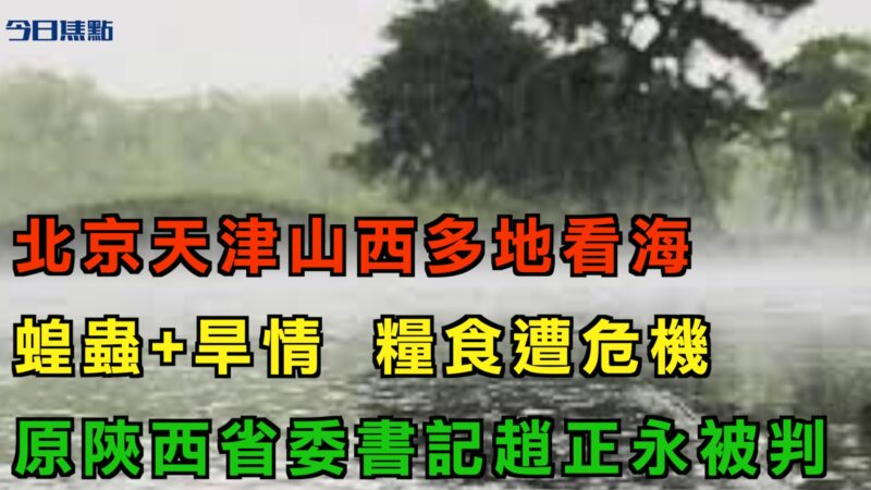 【今日焦點】北京天津山西山東多地「看海」 乾旱加蝗蟲 恐增糧食危機