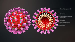 馬來西亞發現中共病毒超強變種 感染力強十倍