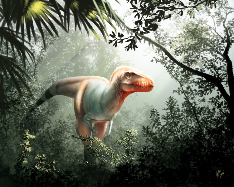 或為霸王龍「近親」英格蘭發現新恐龍物種