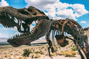 恐龍依靠獨特骨骼結構承載其體重