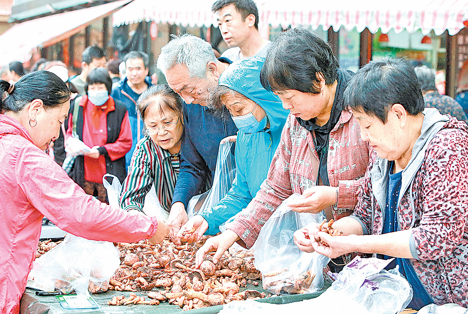 2020年9月9日，中國瀋陽的一個市場上，人們在挑揀蘑菇。（STR/AFP via Getty Images）