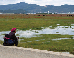中共藉扶貧 強制大量藏人再教育
