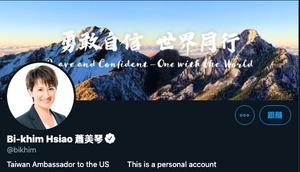 蕭美琴推特更名 「胡錫進」推文遭網民嗆爆