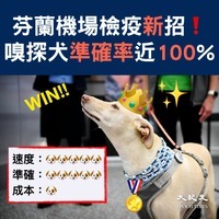 【圖片新聞】芬蘭首都機場試用嗅探犬測中共病毒  準確率近100%