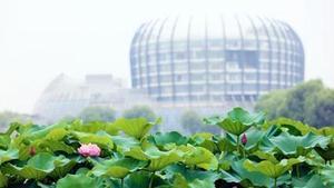 上海東華大學原副校長江建明被立案偵查