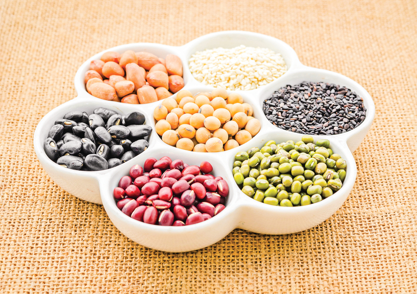 豆類營養價值超群 延年益壽必備食物