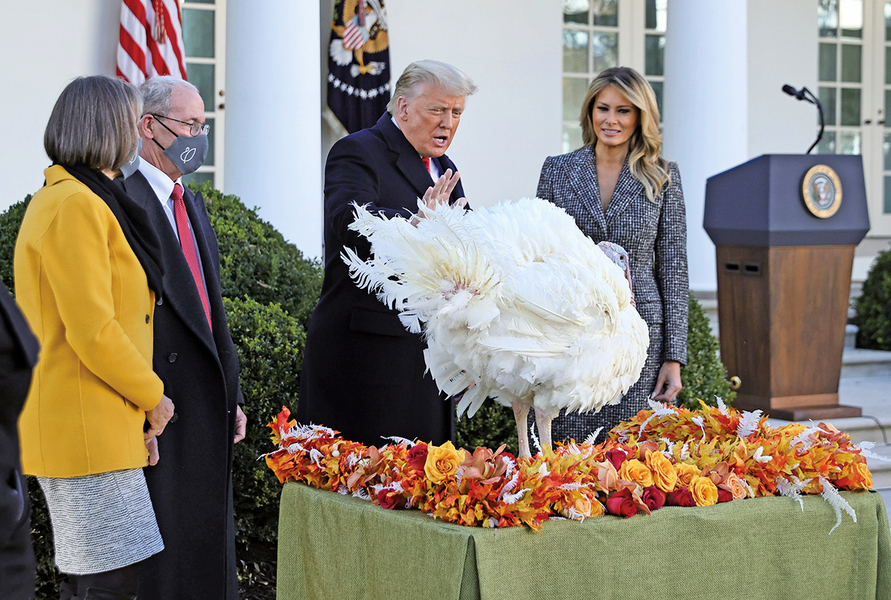 特朗普和夫人在白宮舉行感恩節火雞赦免儀式