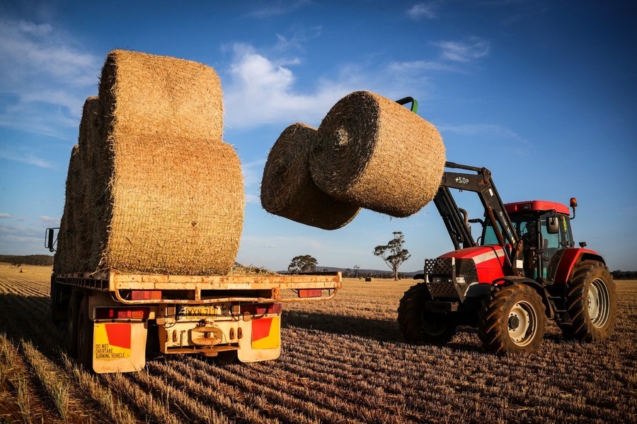 澳洲擬向WTO狀告中共徵大麥雙反稅