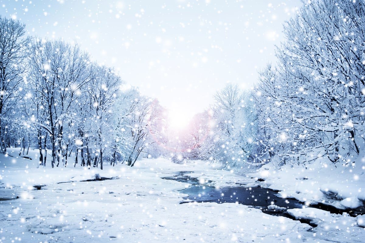 12月7日，「大雪」節氣從這一天開始，它預示著正式進入了冬季最寒冷的時候，此時應順應天地陰陽變化生活，養精蓄銳養好來年的生機。（Fotolia）