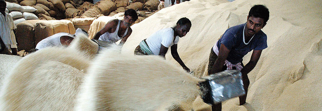 中國三十年來首度進口印度大米