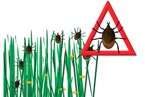 預防感染恙蟲病   接觸草叢環境要做好防護