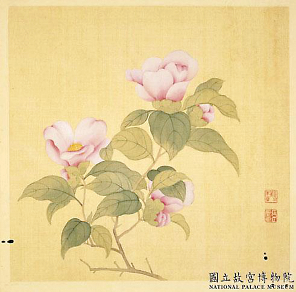 清‧鄒元斗 《茶花》（台北國立故宮博物院） 