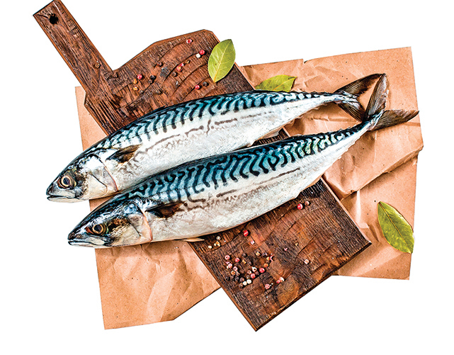 鯖魚營養成份高，價格不貴，是很多家庭喜歡的食材。