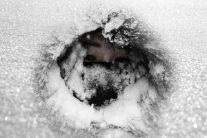 【1.6財商天下】大陸多地無煤電取暖 是誰搶了百姓的電?