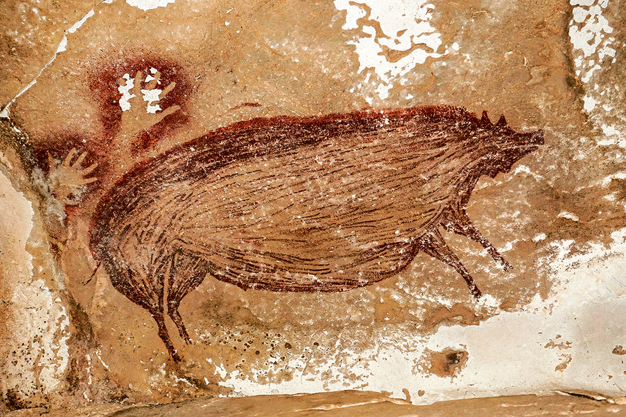 印尼發現最古老動物壁畫   4.55萬年前疣豬