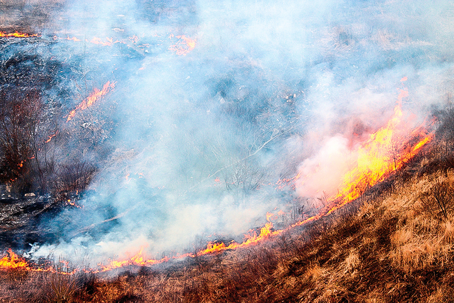 研究山火的降溫   效應大於氣候模型預測