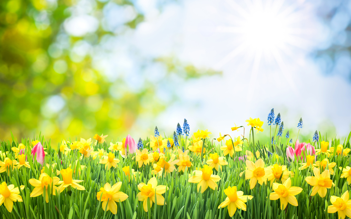 2月3日，進入二十四節氣中的第一個節氣——「立春」，表示寒冷的冬天快要結束了，大地開始有新的生機，同時也標誌著春季的開始。（Shutterstock）