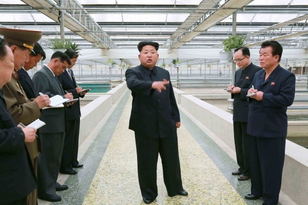韓媒：北韓內閣副總理金勇進被處決