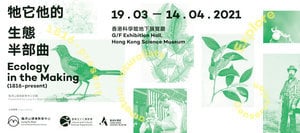 【展覽速遞】「牠它他的生態半部曲」展覽 匯集香港珍稀博物歷史紀錄