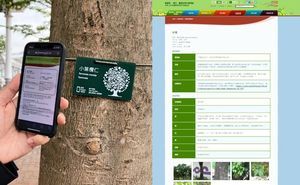 發展局推二維碼「樹牌」 冀市民加深樹木了解協助護養