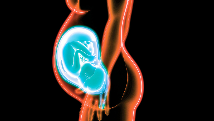 研究胎盤結構更接近腫瘤 還敢吃胎盤嗎？