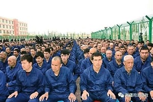 意大利Benetton和OVS挺人權 拒新疆棉