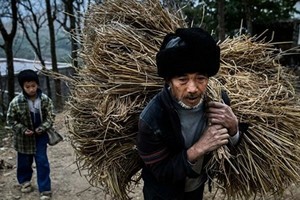 陝西洛南造假曝光  大陸民眾「被脫貧」一角
