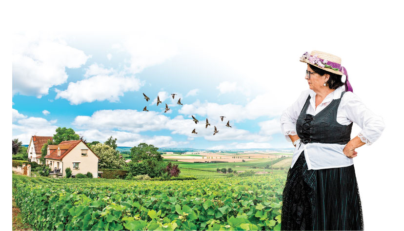 天才少女福爾摩斯 消失的侯爵(下)