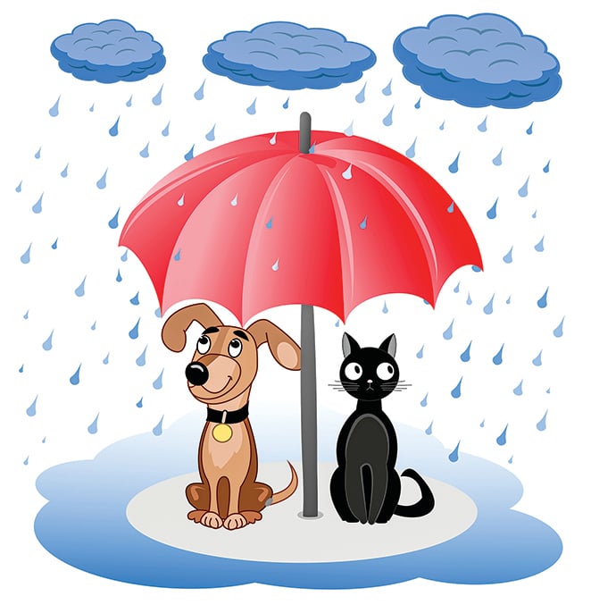 趣味英語:It's raining cats and dogs 下雨?下貓下狗? 