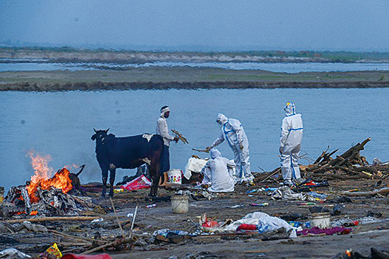 印度恆河染疫屍體被沖上岸 疑火葬場不堪重負