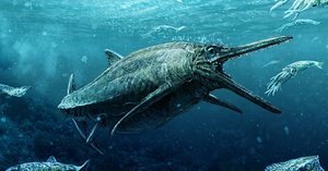 侏羅紀深海怪物現形 大眼桶狀胸數百顆牙
