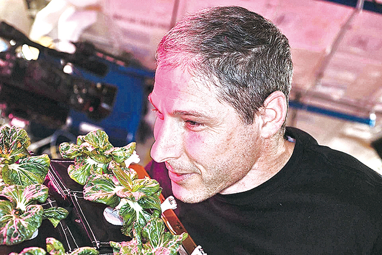 NASA太空人在太空成功種植新鮮蔬菜