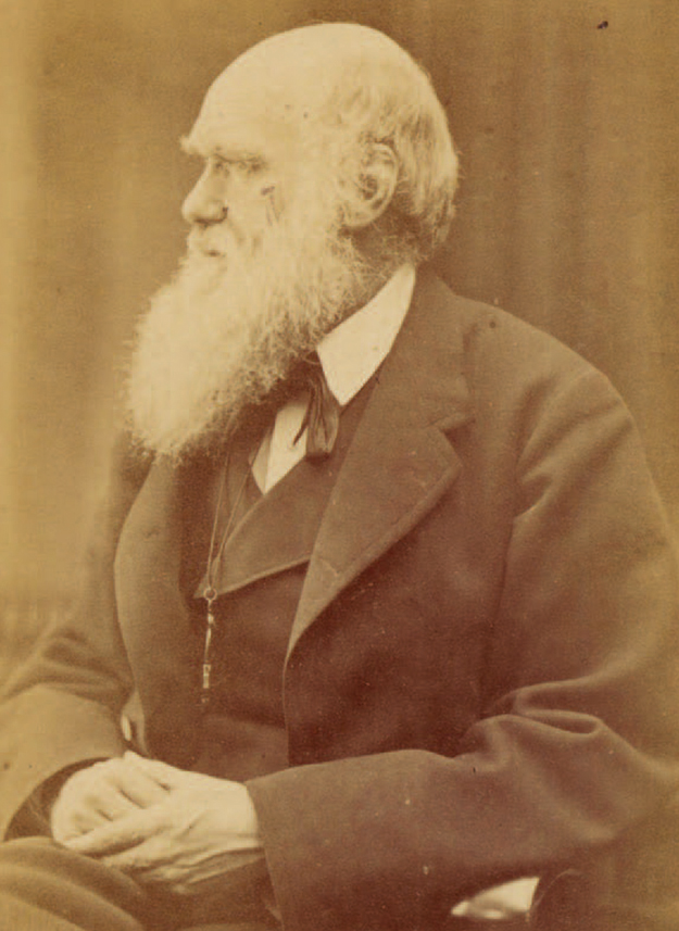 達爾文62歲時，攝於1871年。（公有領域）