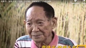 【更新】袁隆平逝世 享年91歲
