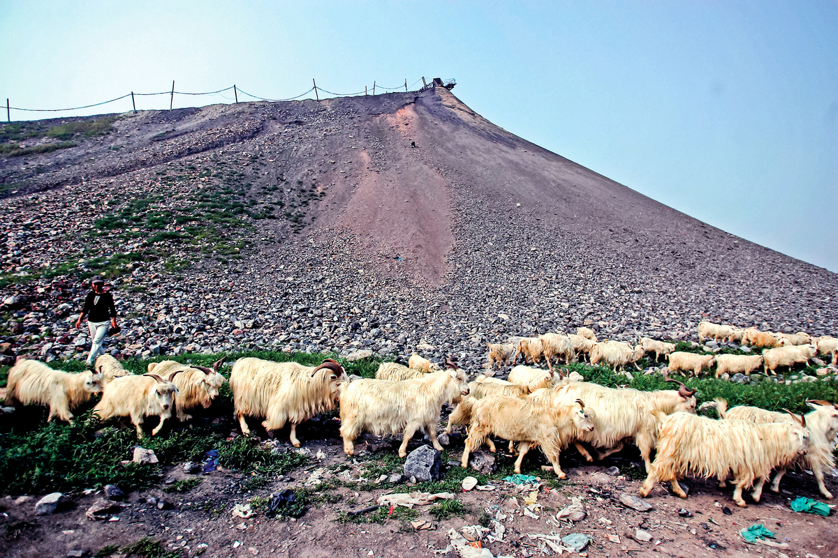 中國的動力煤產地主要是在山西、內蒙、陝西三大省份。圖為內蒙古赤峰市一處煤矸石堆場。（Getty Images)