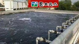 四川一食品廠2員工廢水池溺亡 4人搭救全遇難