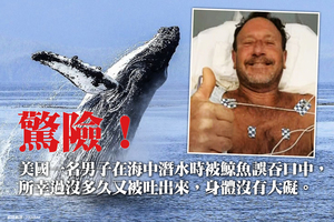 驚險！美國男子被鯨魚誤吞口中 又被吐出來