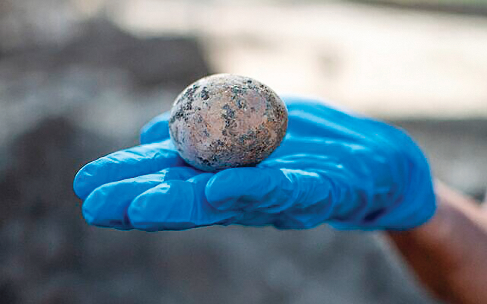 千年前的雞蛋被完好保存下來。（Yoli Schwartz，Israel Antiquities Authority）