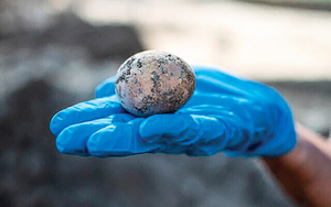 以色列發現千年完整雞蛋  震驚考古學家
