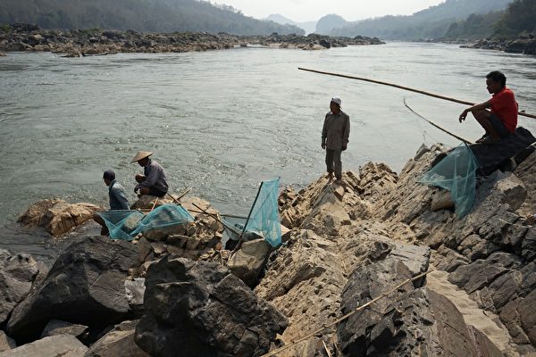 中共在瀾滄江上修建的大大小小的水壩，對依賴湄公河所生存的東南亞7,000萬民眾的生計造成直接威脅。圖為2020年2月8日，湄公河琅勃拉邦河段，水位下降衝擊老撾漁業。（Aidan Jones /AFP via Getty Images）